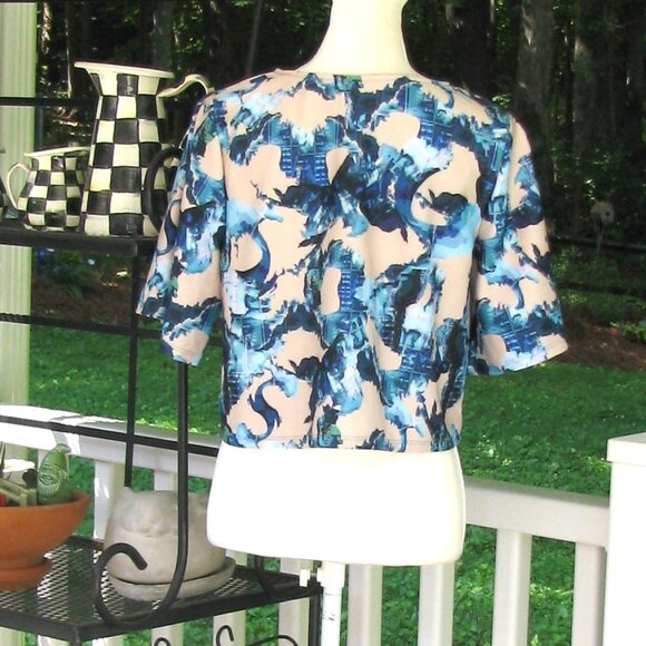 NWT Ripley Radar Los Angeles pullover cropped top shirt blouse Size 4 polyester - Picture 5 of 6